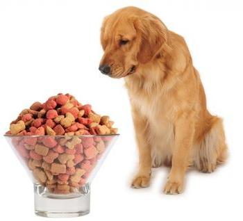 Hypoalergénne potraviny pre psy: jedlo na najvyššej úrovni