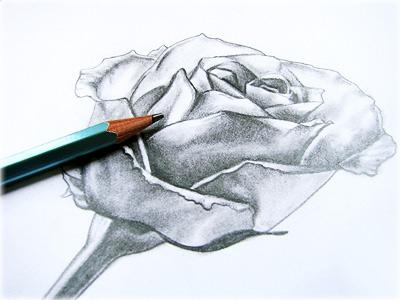Ako nakresliť ružu v ceruzke