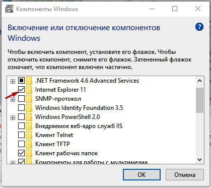 Program Internet Explorer sa nespustí: 8 spôsobov 