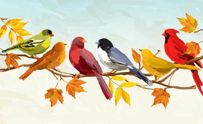 Združenia s jeseňom: pád listov, huby, hluk dažďa, vtáky lietajúce na juh