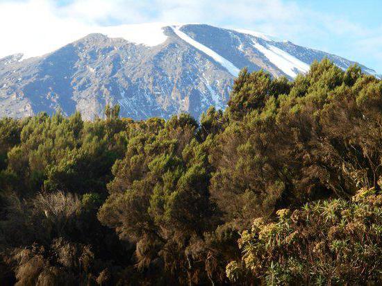 Geografické súradnice sopky Kilimanjaro a ďalšie prvky